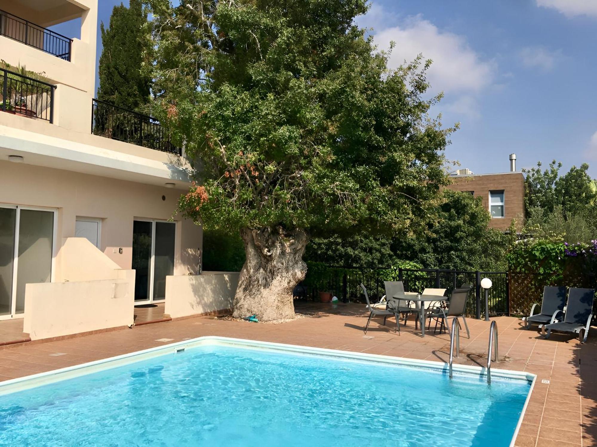 Peaceful Apartment With Double Bed - Oak Breeze Paphos Eksteriør bilde